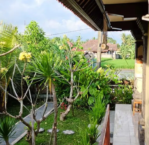 Ayu Soca 2* Ubud (Bali)