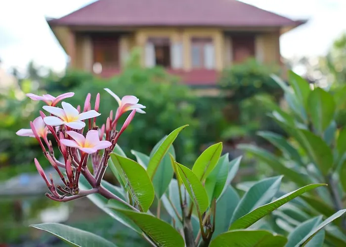 Ayu Soca Guest house 2*