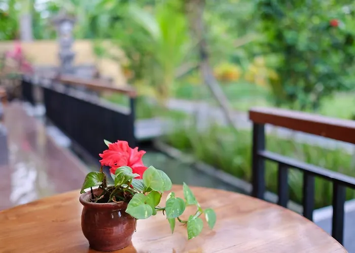 Ayu Soca 2* Ubud (Bali)